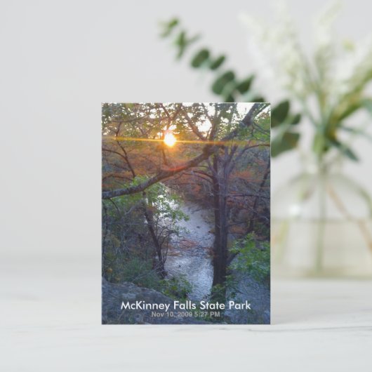 Carte Postale McKinney tombe parc d'état (Debout devant)