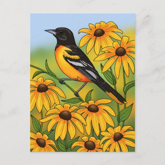 Carte Postale MD State Bird Oriole & Black eyed Susan Flower (Devant)