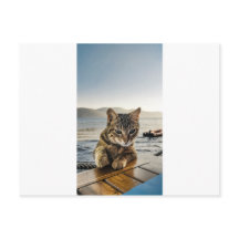 "Me voici" dit le chat