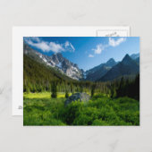 Carte Postale Meadow et Mt. Stuart (Devant / Derrière)