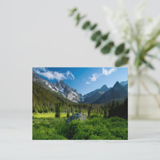 Carte Postale Meadow et Mt. Stuart (Debout devant)