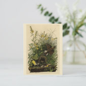 Carte Postale Meadow Lark from Audubon's Birds of America (Debout devant)