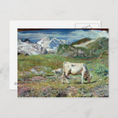 Carte Postale Meadows (Devant / Derrière)