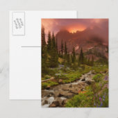 Carte Postale Meadows (Devant / Derrière)
