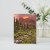 Carte Postale Meadows (Debout devant)