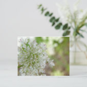 Carte Postale Meadowsweet (Debout devant)