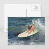 Carte Postale Mec surfeur Pug (Devant / Derrière)