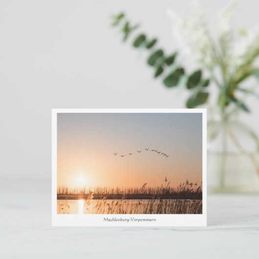 Carte Postale Mecklenburg-Vorpommern (Debout devant)
