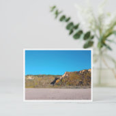 Carte Postale Meco Beach (Portugal) (Debout devant)