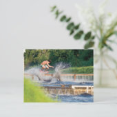 Carte Postale MeddockPhoto_PostCard_WSkate (Debout devant)