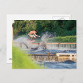 Carte Postale MeddockPhoto_PostCard_WSkate (Devant / Derrière)