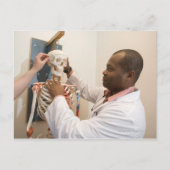 Carte Postale Médecins étudiants étudiant anatomie sur un squele (Devant)