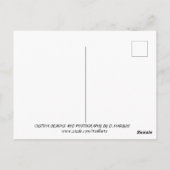 CARTE POSTALE MÉDITATION #1 (Dos)