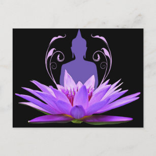 Carte Postale Méditation de fleurs de lotus violet