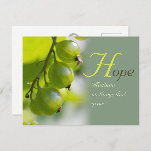 Carte Postale Méditation sur les choses qui poussent CC0330 (Devant / Derrière)