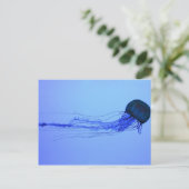 Carte Postale Medusa (Debout devant)