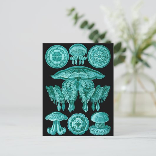 Carte Postale Méduse (Debout devant)