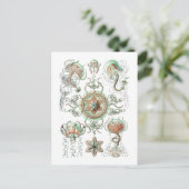 Carte Postale Méduse (Debout devant)