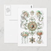 Carte Postale Méduse (Devant / Derrière)