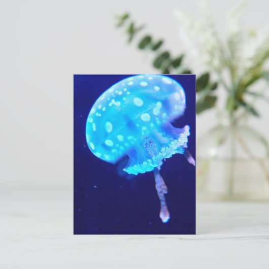 Carte Postale Méduse (Debout devant)