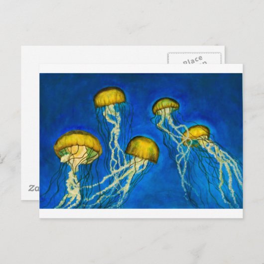 Carte Postale Méduse (Devant / Derrière)