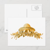 Carte Postale Méduse (Devant / Derrière)