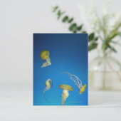 Carte Postale Méduse (Debout devant)