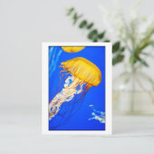 Carte Postale Méduse (Debout devant)