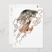 Carte Postale Méduse (Devant / Derrière)