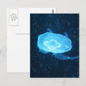 Carte Postale Méduse bleue nageant (Devant / Derrière)