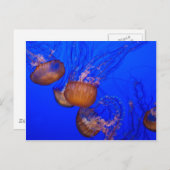 Carte Postale Méduse dans l'Océan Aquarelle (Devant / Derrière)