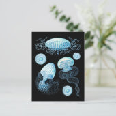 Carte Postale Méduse de Haeckel personnalisable (Debout devant)