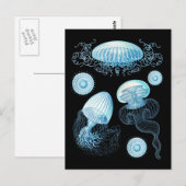 Carte Postale Méduse de Haeckel personnalisable (Devant / Derrière)