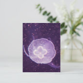 Carte Postale Méduse de natation (Debout devant)