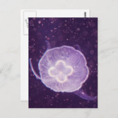 Carte Postale Méduse de natation (Devant / Derrière)