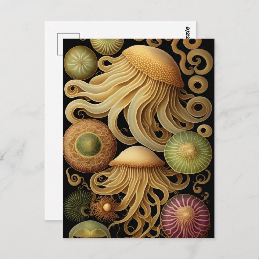 Carte Postale Méduse | Moderne Haeckel (Devant / Derrière)