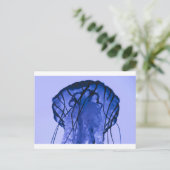 Carte Postale Méduse sur bleu (Debout devant)