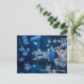 Carte Postale Méduses à S.E.A. Aquarium Singapour (Debout devant)