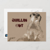Carte Postale meerkat (Devant / Derrière)