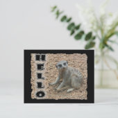 Carte Postale Meerkat (Debout devant)