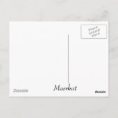 Carte postale Meerkat (Dos)