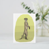 CARTE POSTALE MEERKAT (Debout devant)
