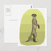 CARTE POSTALE MEERKAT (Devant / Derrière)