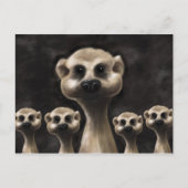 Carte postale Meerkat (Devant)