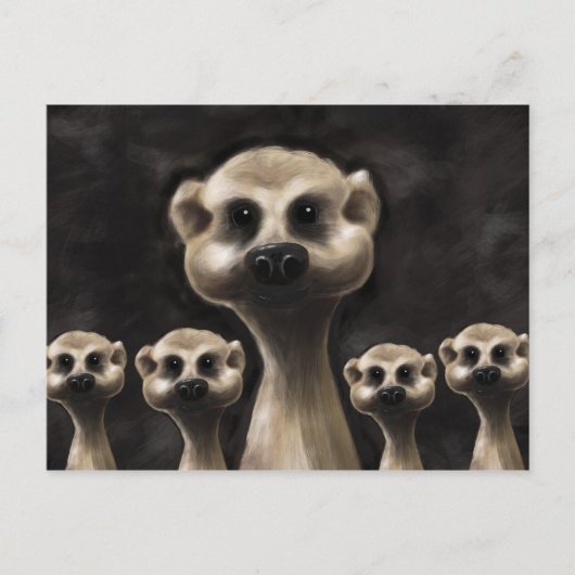 Carte postale Meerkat (Devant)