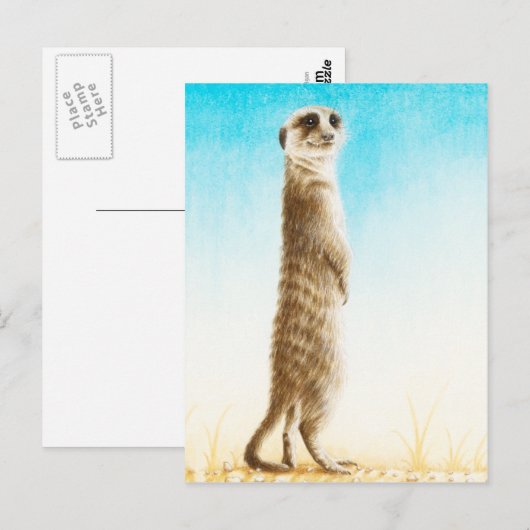 Carte postale Meerkat (Devant / Derrière)