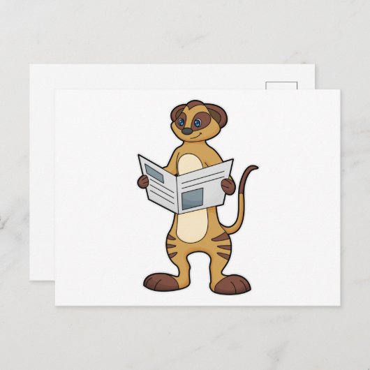Carte Postale Meerkat à la lecture d'un journal (Devant / Derrière)