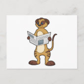 Carte Postale Meerkat à la lecture d'un journal (Devant)
