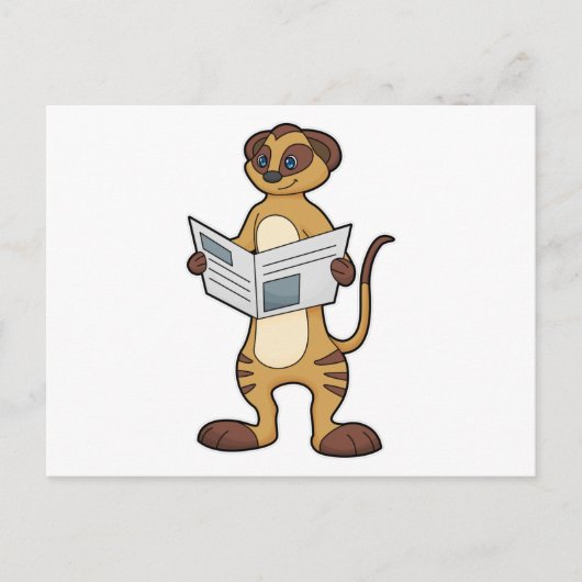 Carte Postale Meerkat à la lecture d'un journal (Devant)