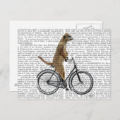 Carte Postale Meerkat à vélo (Devant / Derrière)